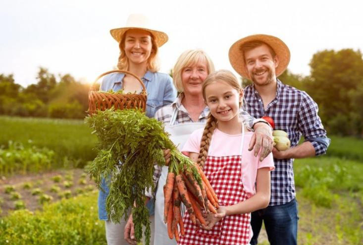 Мини рынок «Фермер» ОТКРЫТО!